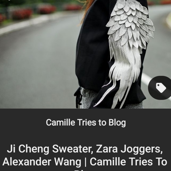 Ji Cheng Winged Sweatshirt - Picture 10 of 10